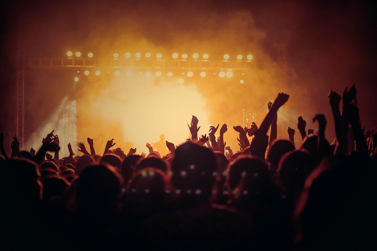 Live concert audience in front of the stage